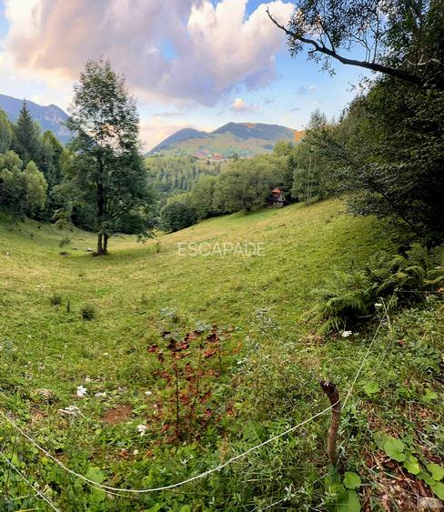 Teren extravilan 8635 mp, Pestera /Brasov - 5