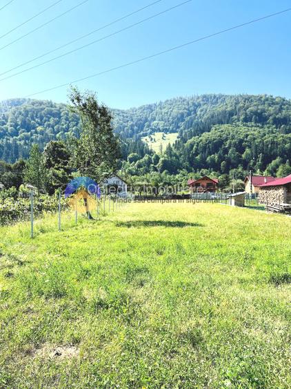 TEREN intravilan 3600 mp  PÂNGǍRAȚI - PRELUCA - 3
