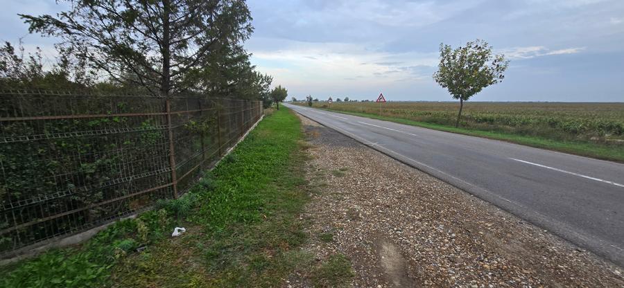 LIVADA DE VANZARE FOCSANI-DUMBRAVITA 1,8 HA