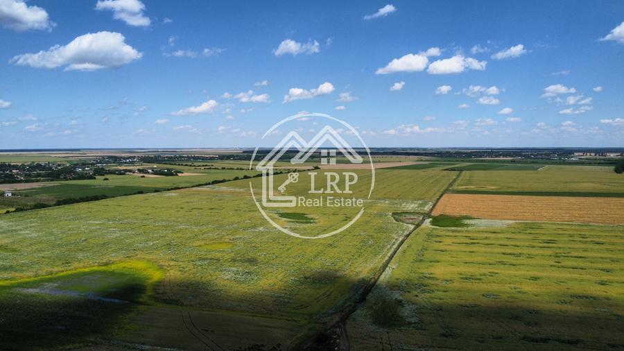 Teren Intravilan 9.918 mp Creața Dascălu, T66– Parcelabil