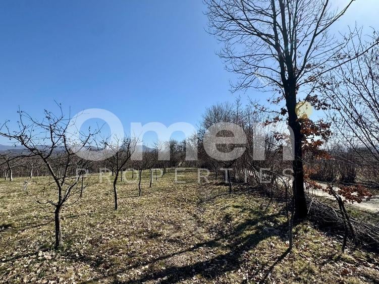 Teren intravilan | Berința | 5800 mp