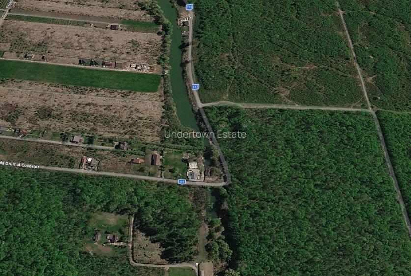 Teren Intravilan Unic pe Malul Lacului Snagov – Ideal pentru Cabana Ta - 9