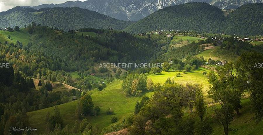 Resedinta/ pensiune, in areal privilegiat. cu 1.000 mp teren, Pestera, Bran, Bra - 10