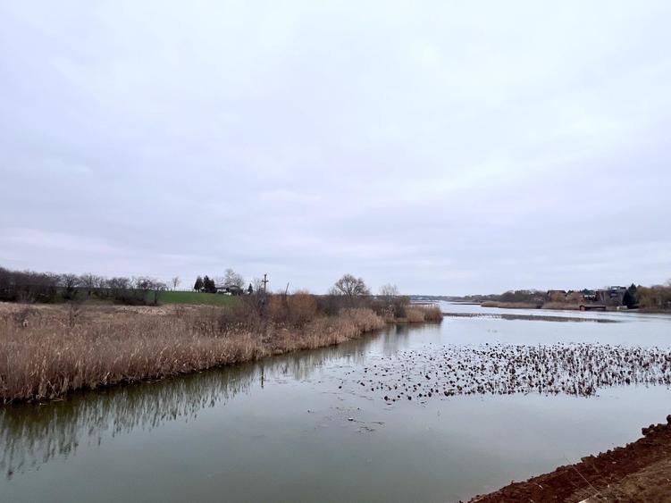 Casuta de vanzare cu ponton pe lacul Snagov