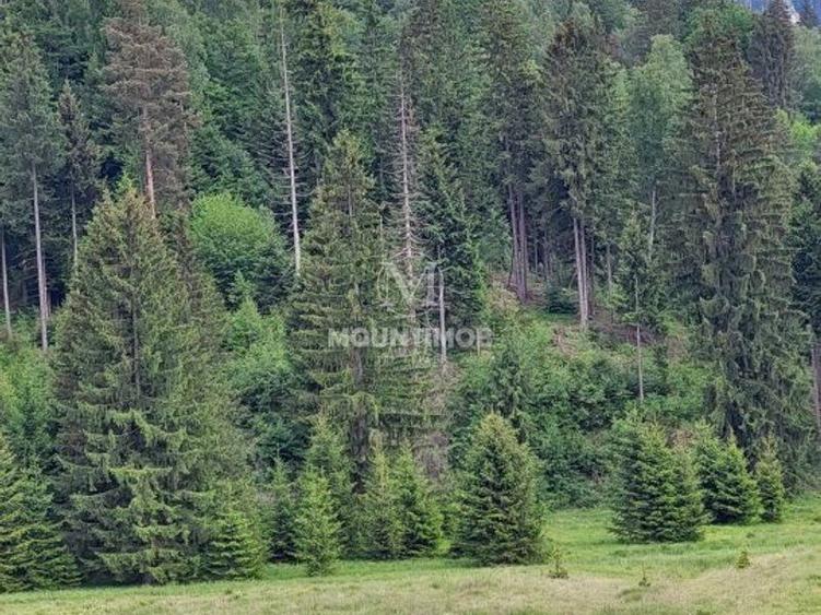 Teren intravilan în Poiana Brașov, 0% COMISION