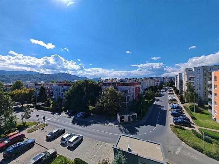 Inchiriem Apartament 2 Camere, Mobilat, Decomandat, Avantgarden 2 - 24