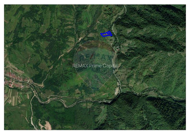 Teren 6700 mp, Apuseni, Pietroasa, Valea Aleului, Bihor, De Vânzare - 3
