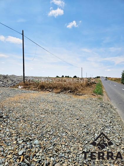 Ovidiu - Terenuri intravilane - 2