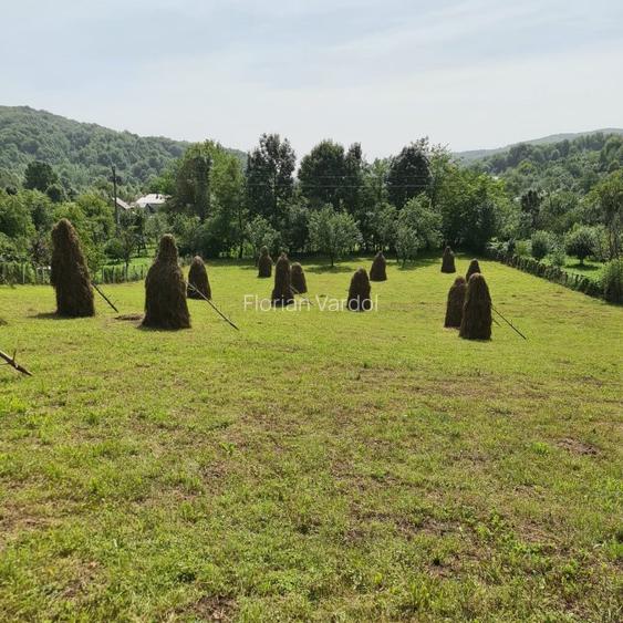 Teren vanzare in comuna Adunati - zona BREAZA - Prahova - 6