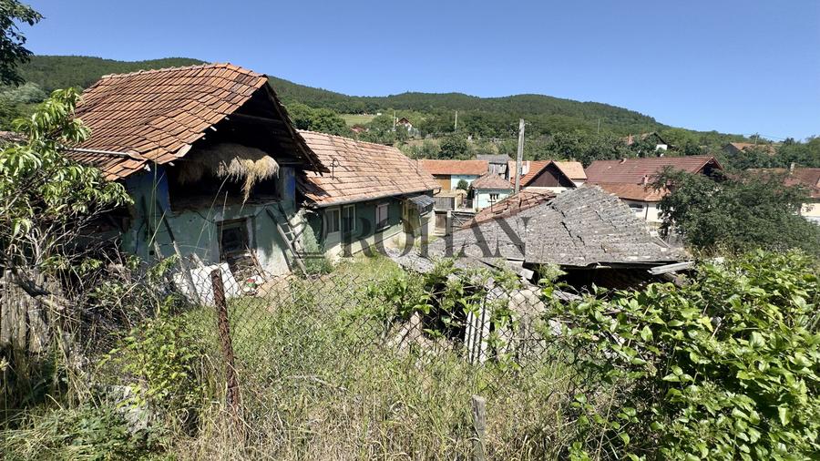 Casă + Anexă Cricău | 2.015 mp teren