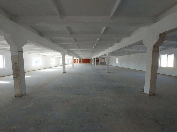 Hala depozitare, productie Bodrogului Aeroport Arad Autostrada A1