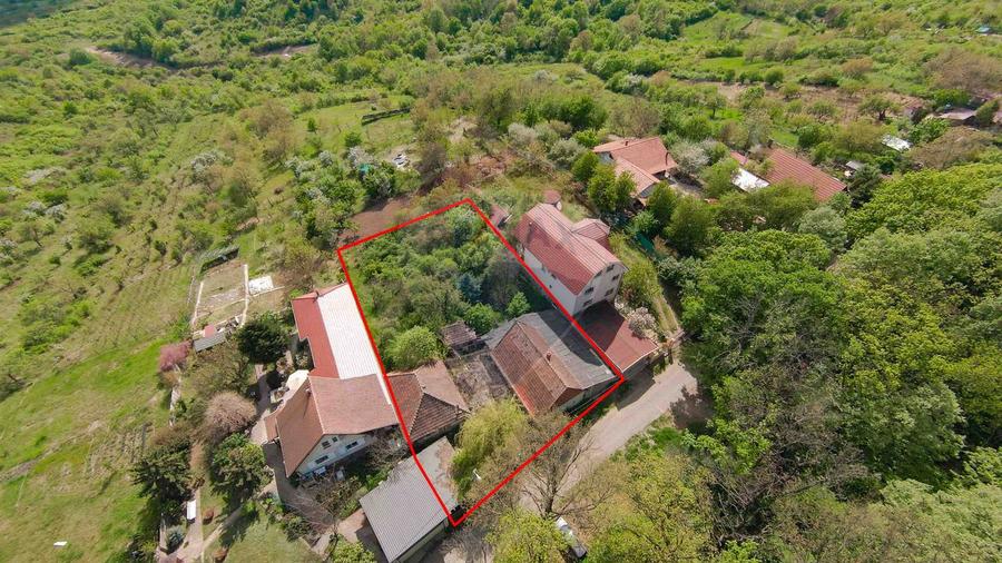 De vânzare casă și teren 1.425 mp - Podgoria