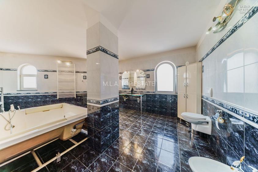 Vila zona Parneava - 31