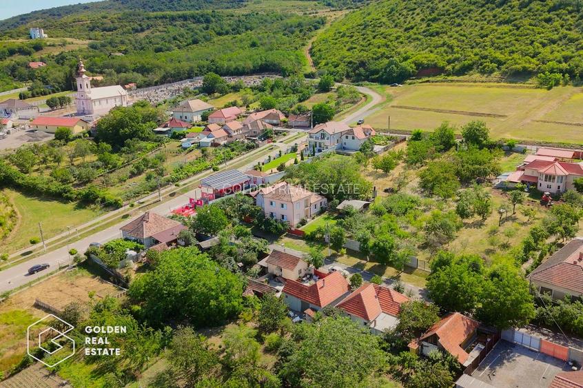 Casa din caramida, P+E, in Siria, teren 1878 mp, comision 0% - 22