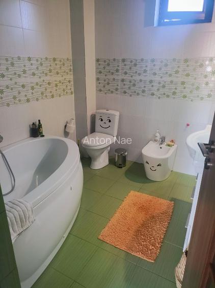 Vila Casa  Darza Crevedia 5 camere - 8