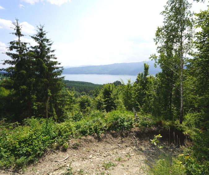 Teren intravilan 1.723 mp | Hangu – Chiriteni