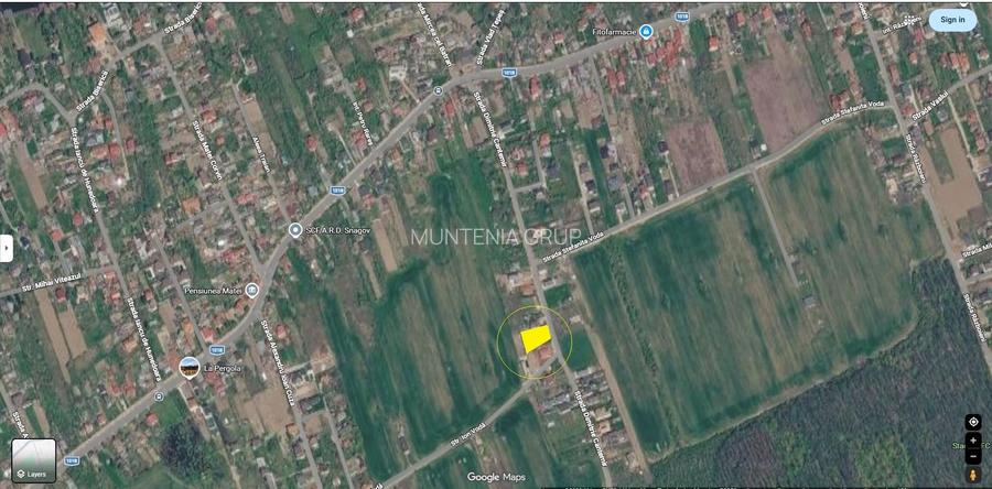 CIOFLICENI - Str. Dimitrie Cantemir, 937 mp. teren cu acces din strada - 2