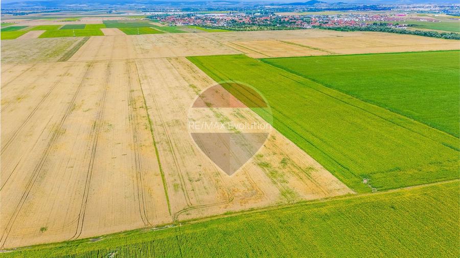 Comision 0% | Teren extravilan agricol 20.000 mp | Cristian, Brașov - 8