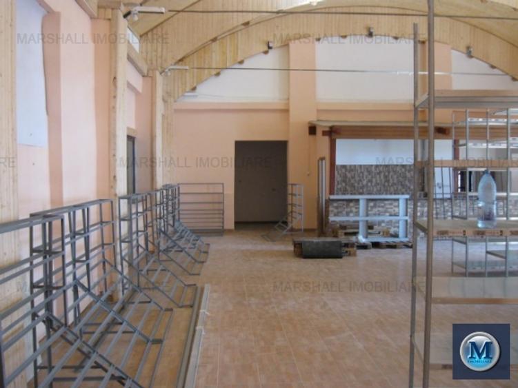 Spatiu industrial de vanzare, zona Nord, 706 mp #10833