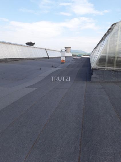 Vand hala (11.064 MP) + teren adiacent (10.445 MP) in Aiud (Alba)