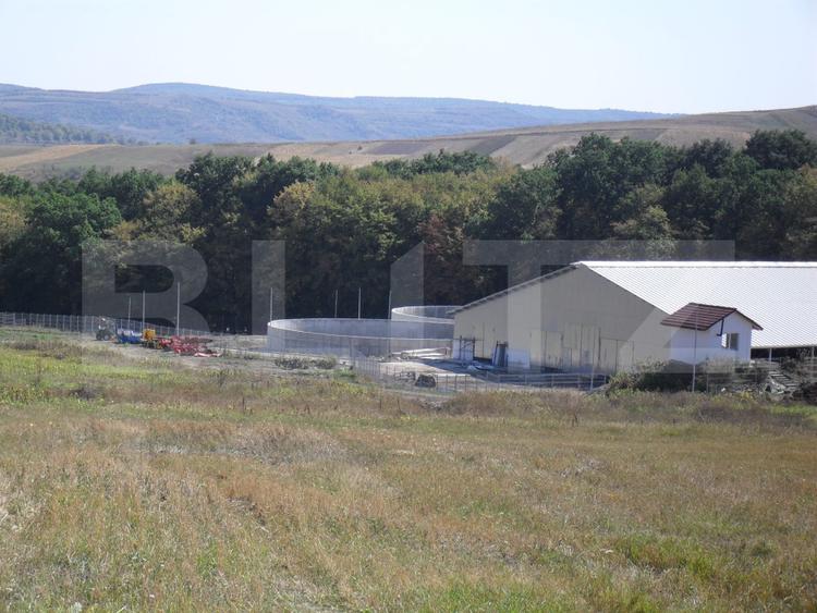 Hale si teren ,curte betonata , destinatii multiple