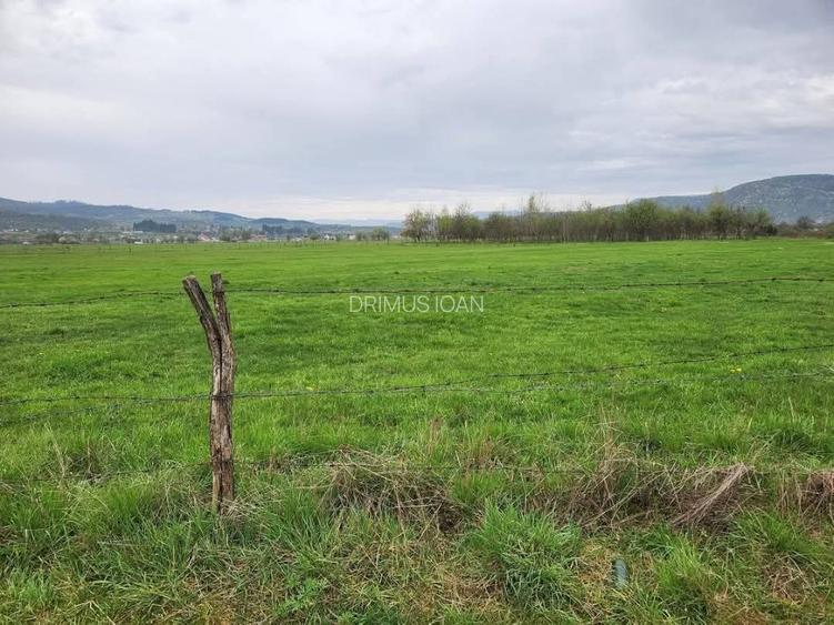 Vand teren  - 3
