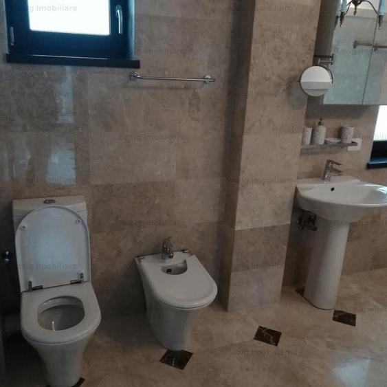 Inchiriere Vila zona Ion Mihalache