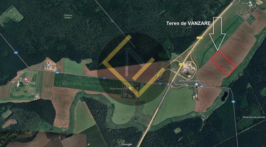 Teren 9Ha -> 16Ha Ha Intravilan , Exit A3 Snagov Ghermanesti Bucuresti-Ploiesti