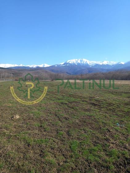 Vindem teren Sibiu, Valea Lupului, priveliste deosebita