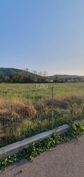 5200 sau 2600 mp teren vanzare,direct proprietar, parcelabil, apropiere Arinis - 9