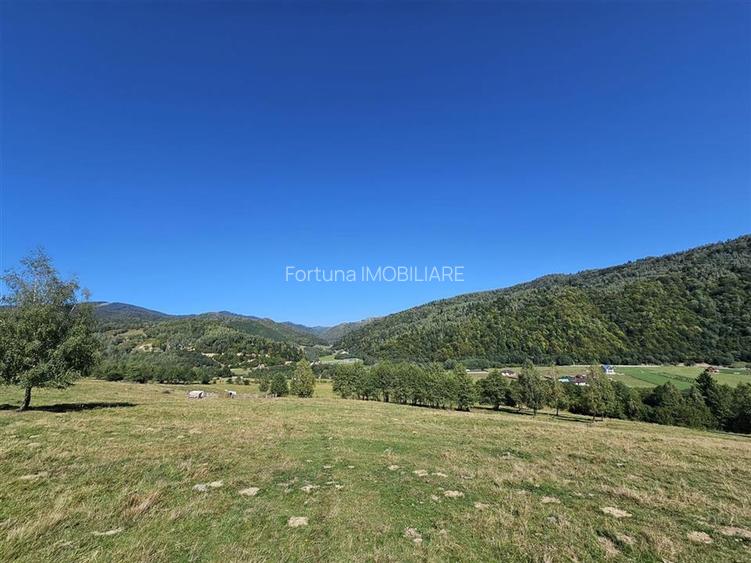 Teren intravilan, 21.000 mp, Zona Intre Barse, spre Plaiul Foii, Zarnesti