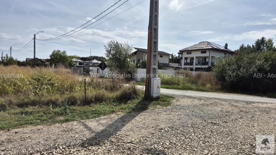 Teren casa 700 mp la Asfalt aproape de Centrul orasului Magurele - 10