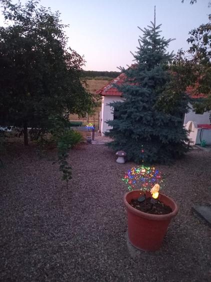 Casă cu panoramă înspre pădure