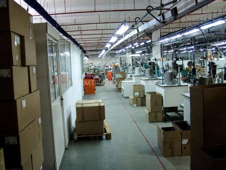Str. Zizinului (Sacele) - Complex Industrial - 13