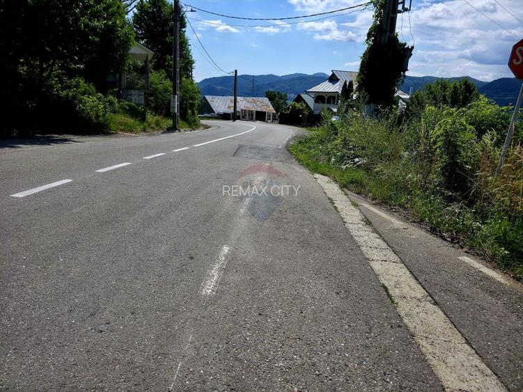 Teren 600mp Viisoara / Strada Primaverii - 16