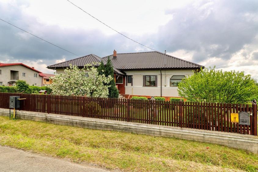 Oportunitate - Casă boierească de poveste- 7000 mp teren