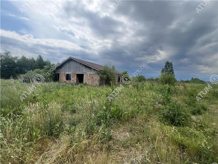 Teren curti constructii de 20200 mp cu deschidere de 72 m in Daia