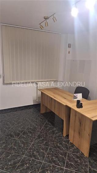 Vanzare spatiu comercial, 16mp, Alexandru cel Bun Iasi - 2