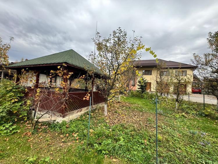 CASĂ DE VIS SAU AFACERE DE SUCCES – BAIA SPRIE