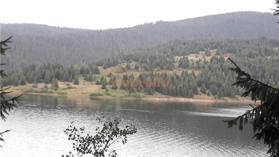 Teren de vanzare 29.131m²/35€ m² lac Belis, la Paraul Butoaie, Giurcuta
