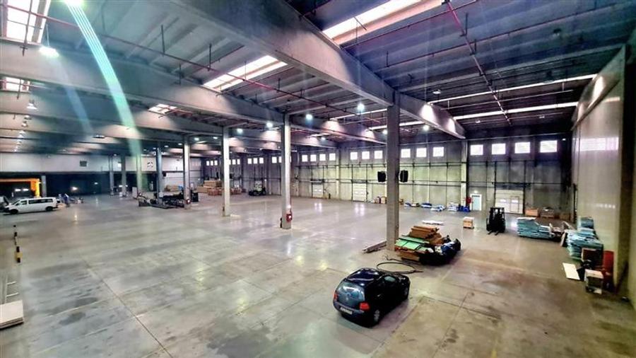 Hala industriala de vanzare, Timisoara Freidorf,0 COMISION