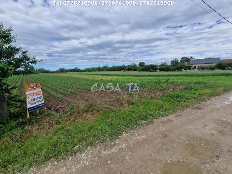 Teren Intravilan (7500 mp),situat in Balesti - Tamasesti
