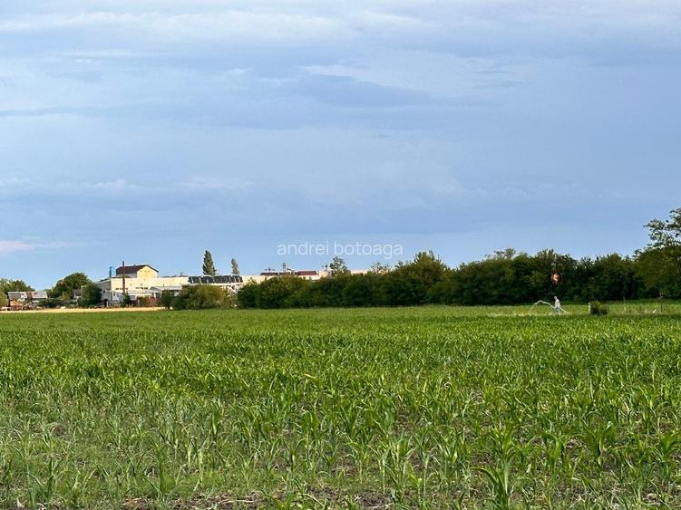 Teren 9.100 mp Răcari | ideal casă, livadă sau investiție | lângă DN71 - 8