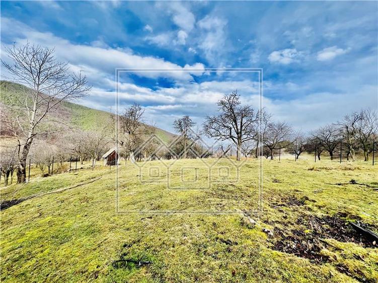 Teren extravilan de 799 mp - zona pitoreasca - Rasinari