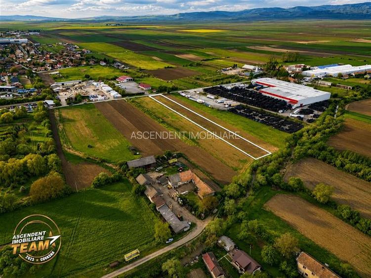 FILM! 5.000 mp teren, la marginea orasului Targu Secuiesc, aria industriala - 7