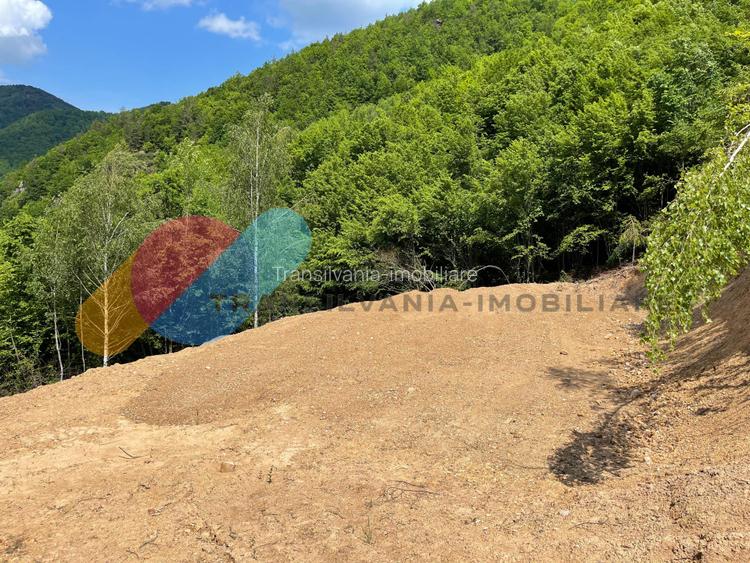 Teren 2200 mp, intravilan, zona Somesul Rece - 4