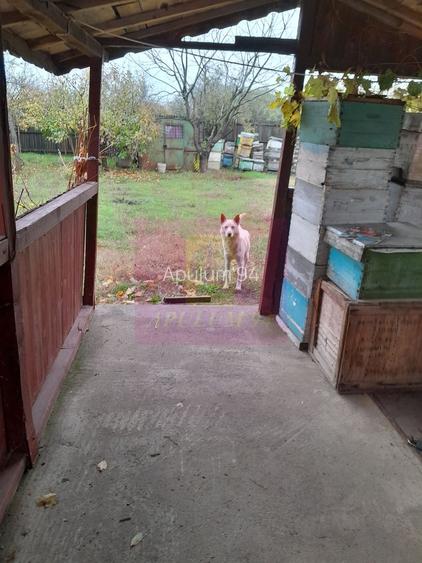 ILFOV - SE VINDE CASA IN ISLAZ / COM. BRANESTI - 42