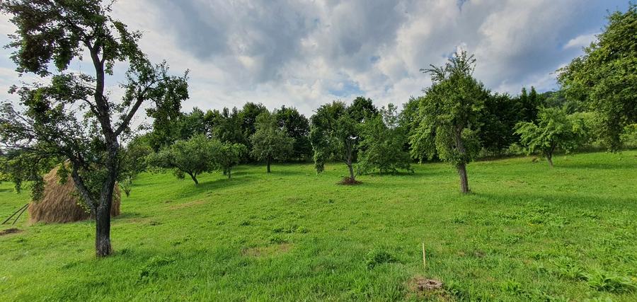 Teren intravilan 1.000 mp | Deschidere 27 m | Poienărei – Corbi, Arges