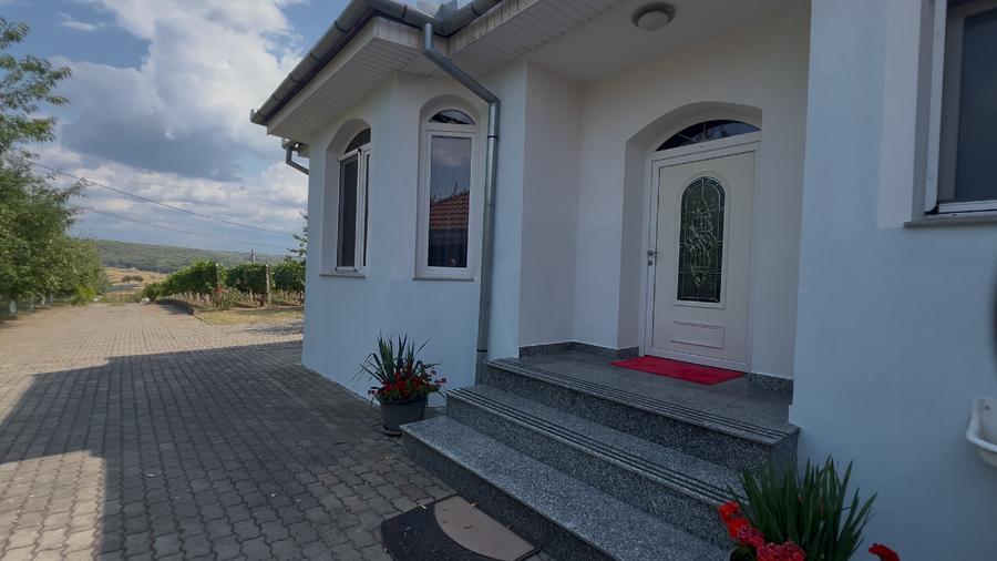 Vila Băile Felix 414mp/3556mp 7dorm 5bai 3 bucătării  vie+cramă livadă filigorie