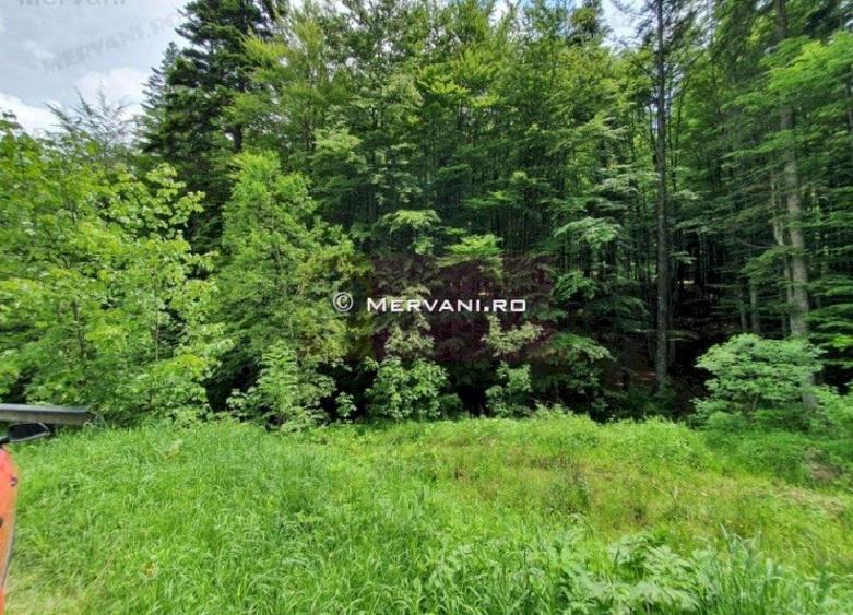 Teren intravilan de vanzare in Sinaia - Zona Furnica